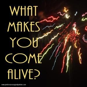Performance Support Partners - What Makes You Come Alive